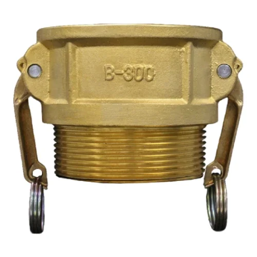CGBB-2 thumbnail 1